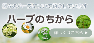「ハーブのちから」へ