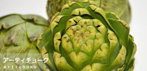 アーティチョーク