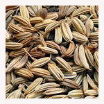 フェンネルシード