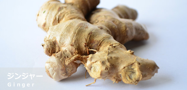 ジンジャー